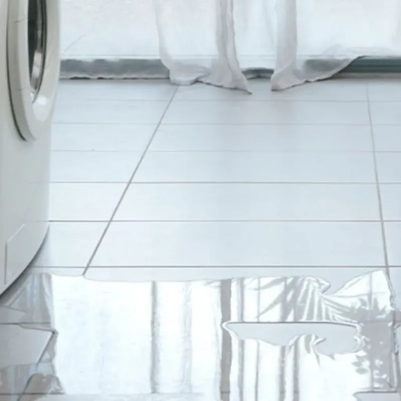 Appliance Leak Cleanup in Hillsboro, IL