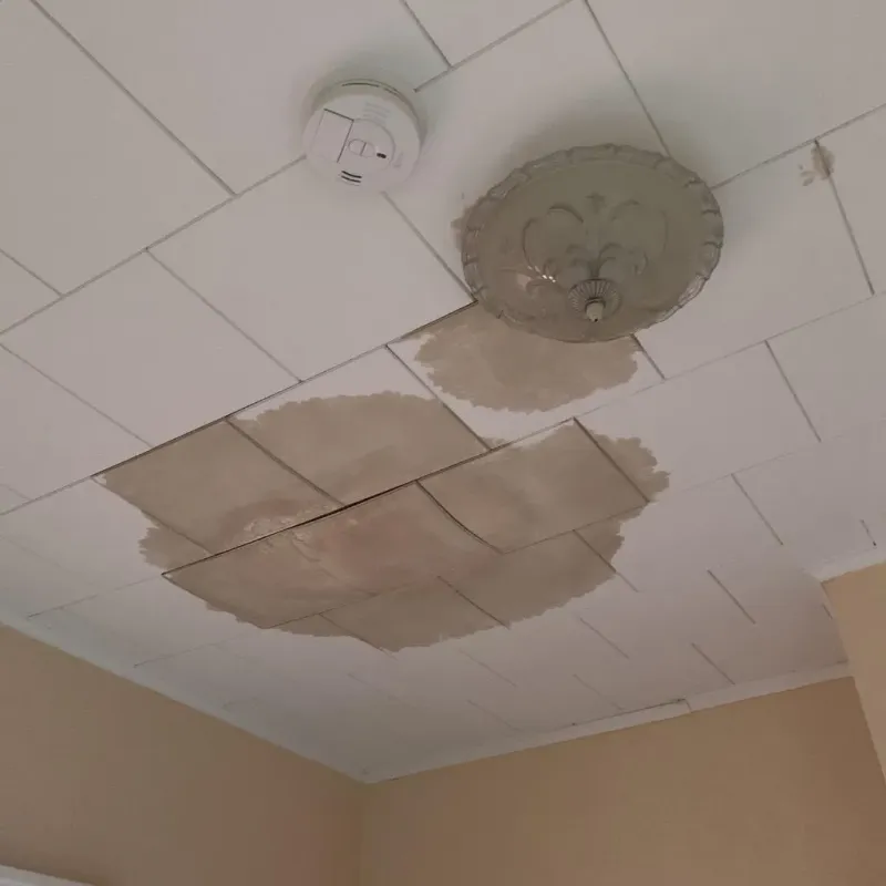 Ceiling Water Damage Repair in Hillsboro, IL