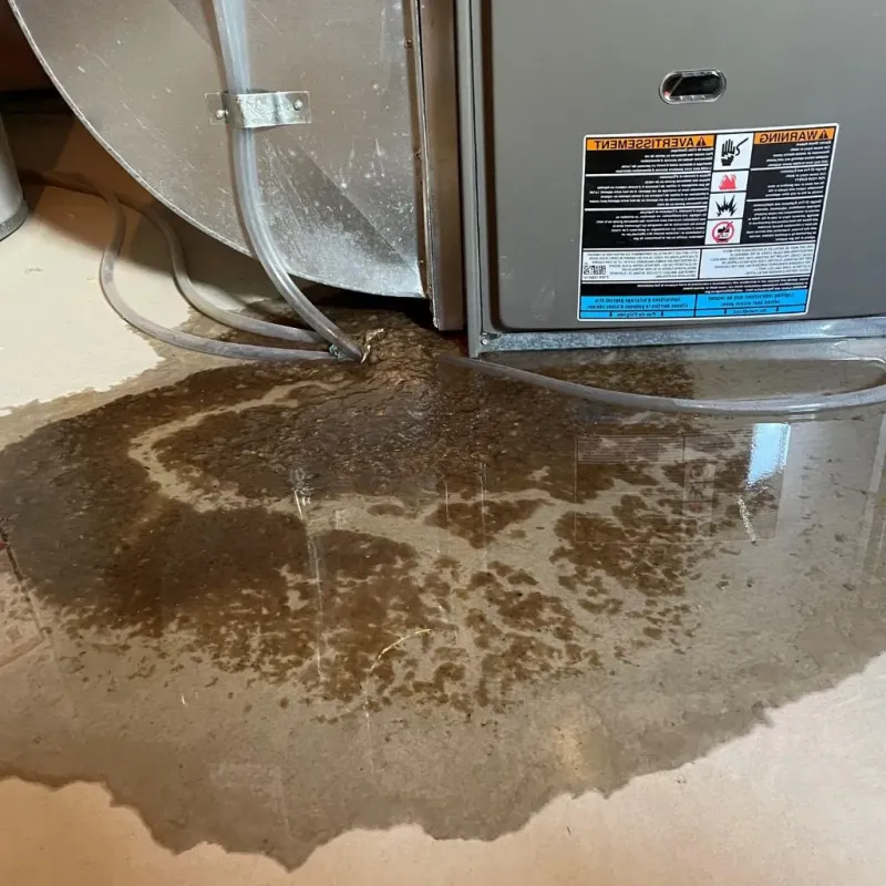 Pipe Burst and Leak Restoration in Hillsboro, IL