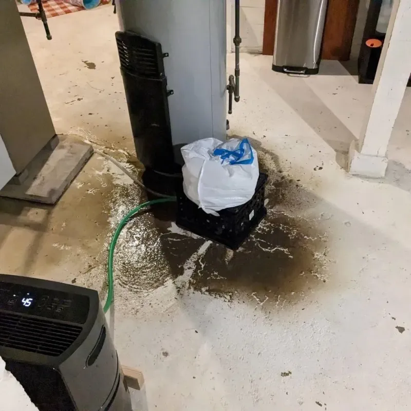 Sewage Backup Cleanup Service in Hillsboro, IL